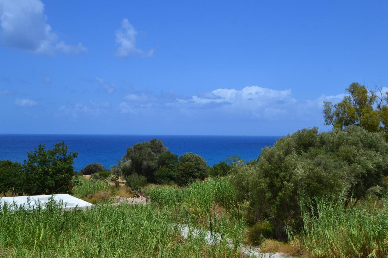 Campus Dei - Tropea Rooms Zewnętrze zdjęcie